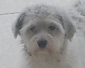 Meet Maggy